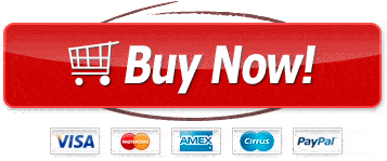 the brain song official website buy